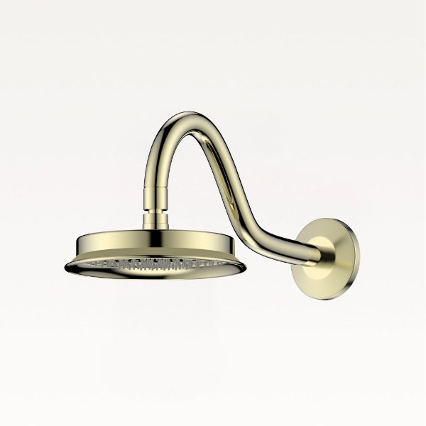 overhead-shower-with-shower-arm